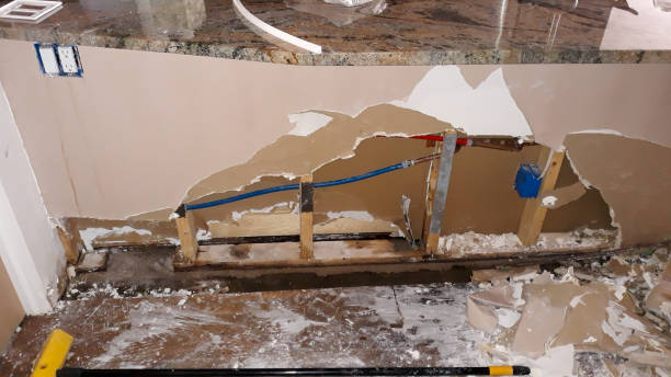 Best Carpet water damage restoration  in Lakin, KS