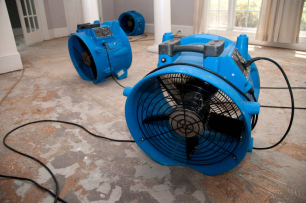 Best Commercial water damage restoration  in Lakin, KS