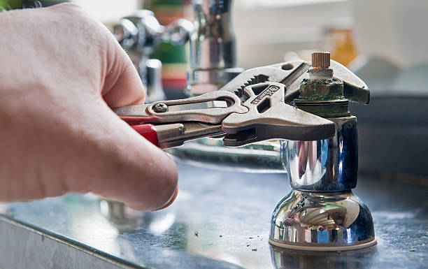 Best Mold removal after water damage  in Lakin, KS