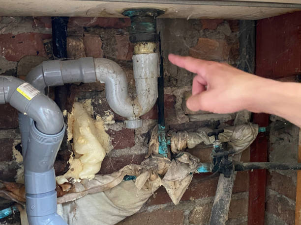 Best Sewage cleanup and water damage restoration  in Lakin, KS