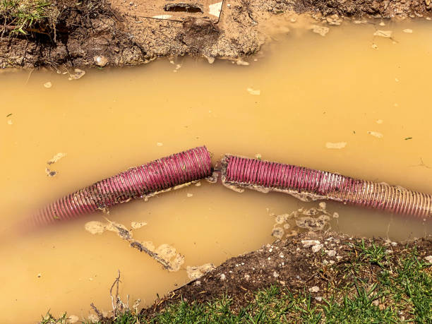 Best Water damage restoration experts  in Lakin, KS