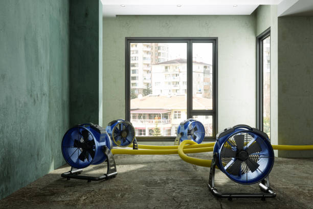 Best 24-hour water damage restoration  in Lakin, KS